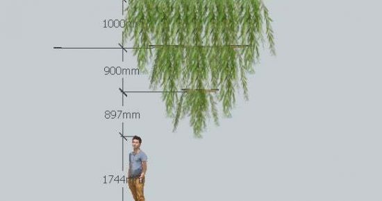 The Lookout Rental Screen final