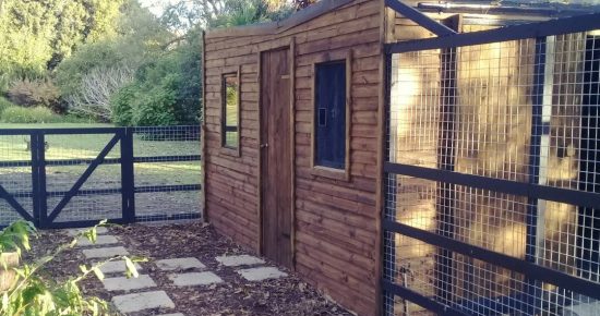 quicksquarenew_202272784529792