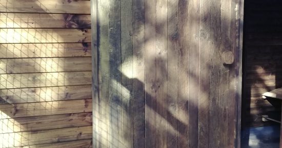 quicksquarenew_202272784610783