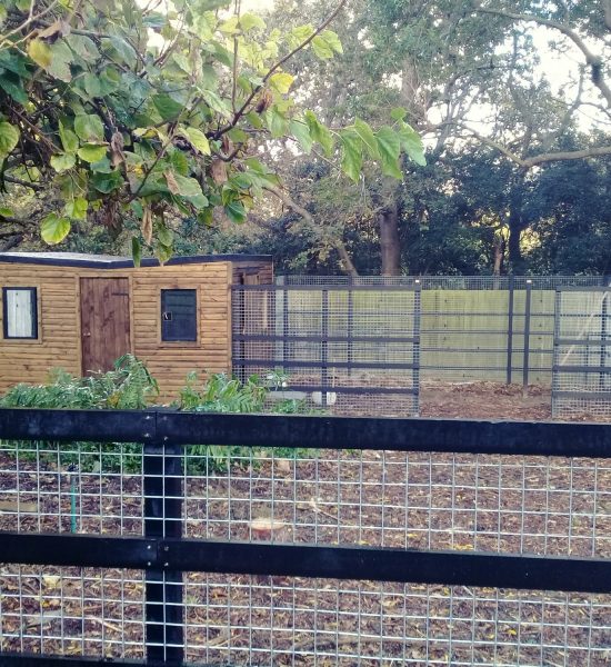 quicksquarenew_202272784632992